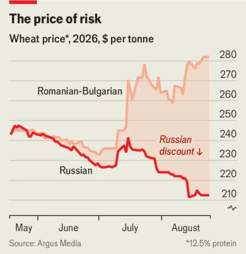 Chart tracking international wheat prices