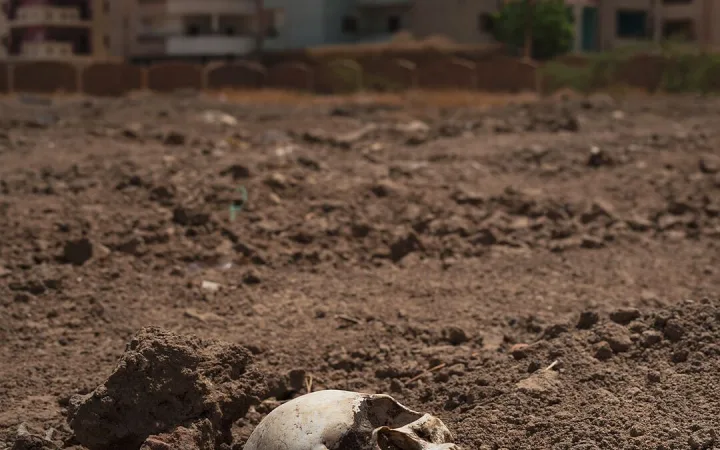 Photograph of a weathered human skull resting in a dry, barren, dirt field, with blurred multi-story buildings visible in the background