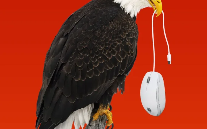 Bald eagle perched on a branch, holding a computer mouse in its beak against a red background.