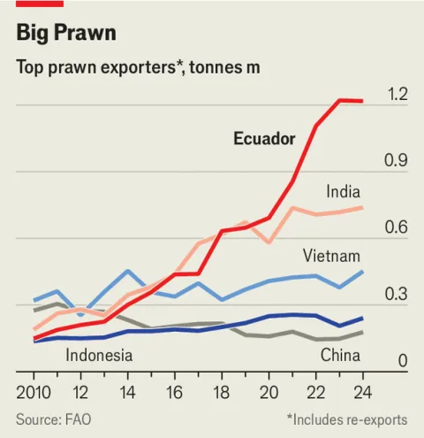 Chart showing Ecuador overtaking India as the world's largest prawn exporter, with shipments quadrupling over the past decade