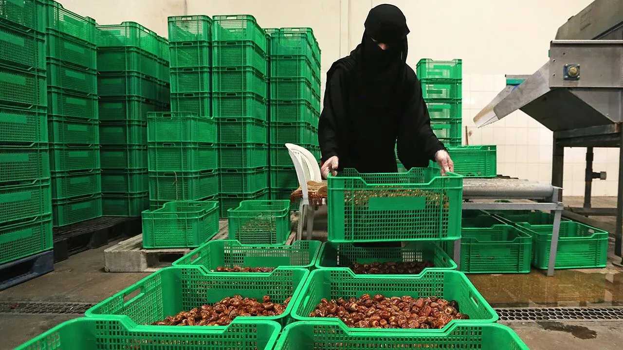 A Saudi woman works at a dates packaging factory in Al-Ahsa, Saudi Arabia