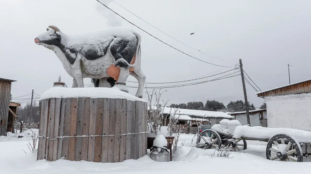 Cow sculpture at Dmitry Brovin’s farm in Nikolsk